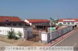 东营73个村集体收入破百万，村党支部领办合作社成效显著